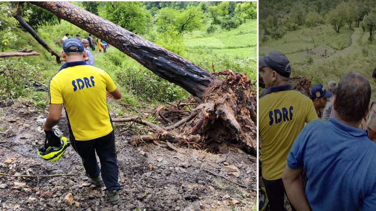 टिहरी में भयंकर तूफान से पेड़ टूटे, स्कूल से लौट रहे 2 छात्र-छात्राओं की मौत