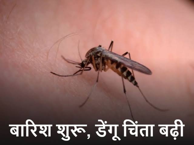 Dengue